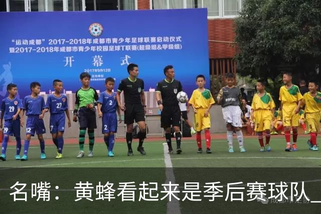 名嘴：黄蜂看起来是季后赛球队 米勒有望达到皮尔斯&双探花的级别