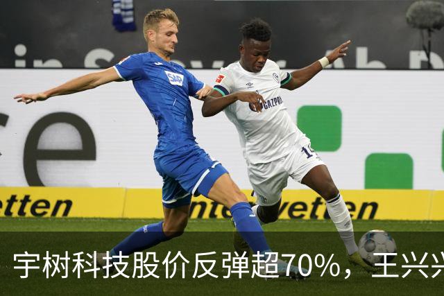 宇树科技股价反弹超70%，王兴兴身家695亿元，首次入围胡润百富榜
