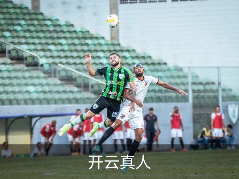 开云真人简介