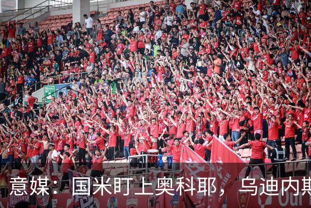 意媒：国米盯上奥科耶，乌迪内斯要价2000万欧