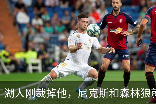 湖人刚裁掉他，尼克斯和森林狼就盯上了