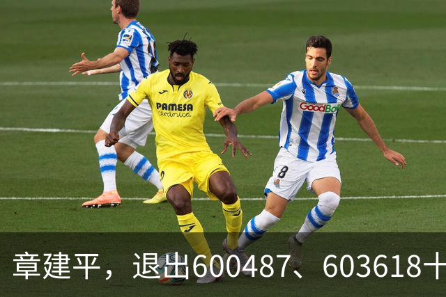 章建平，退出600487、603618十大股东