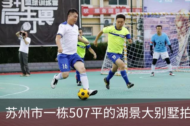 苏州市一栋507平的湖景大别墅拍卖，被人370万元拿下了