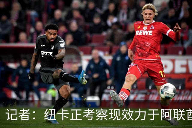 记者：纽卡正考察现效力于阿联酋球队的19岁加纳前锋马西亚