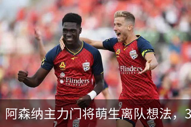 阿森纳主力门将萌生离队想法，3.76亿元锋线新援进入引援视野