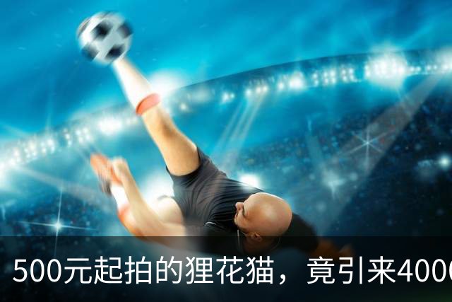 500元起拍的狸花猫，竟引来4000多人抢着交保证金！宠物店还给它拍“蹲大牢”日常，网友：巴山楚水凄凉地，主人没钱拍卖me！