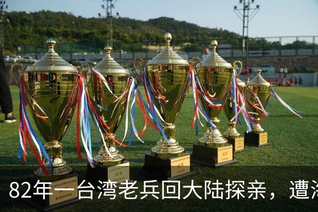 82年一台湾老兵回大陆探亲，遭海关带走后，一句话让他深受感动！